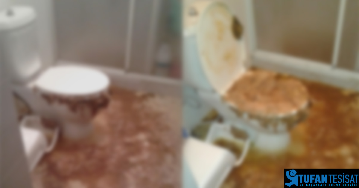 tikanan klozeti kirmadan acan firma